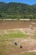 Thailand: Farmers working fields next to the Mekong River, Loei Province